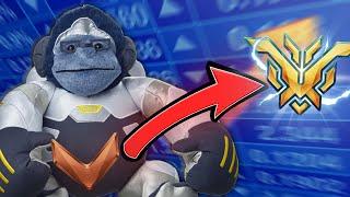 Educational Unranked To TOP500 Winston Only