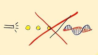 Wave Particle duality is Wrong