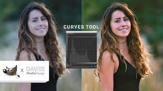 How to Use the Curves Tool in GIMP