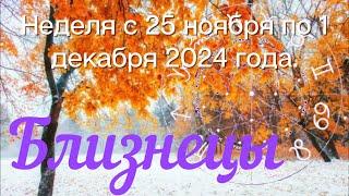 БЛИЗНЕЦЫ ️ Неделя с 25 ноября по 1 декабря 2024 года.