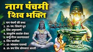 नाग पंचमी शिव भक्ति : नाग पंचमी की कथा , ॐ नमः शिवाय, शिव प्रार्थना, शिव अमृतवाणी, चालीसा व आरती