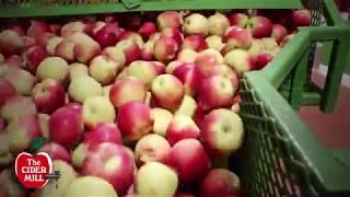 The Cider Mill - 2018 Cider Spot