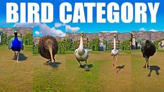 Bird Category Speed Race in Planet Zoo included Kiwi, Emu Swan, Flamingo, Indian Peafowl