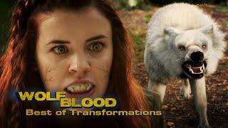 Best of Transformations 5.0  | Special | Wolfblood