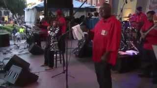 Denise LaSalle - Full Set - Crescent City Blues & BBQ Festival (2014)