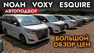 АВТОПОДБОР МИНИВЭНА️ TOYOTA VOXY l NOAH l ESQUIRE️ БОЛЬШОЙ ОБЗОР ЦЕН НА МЕСТНОМ РЫНКЕ