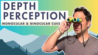 Monocular Cues and Binocular Cues - AP Psychology - What is Depth Perception?