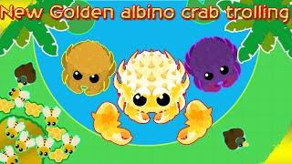 New Golden Albino crab Gameplay in mope.io// Mope.io Custom skin Gameplay//