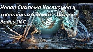 Система костюмов и сундуки - Dragon Bones DLC The Elder Scrolls Online