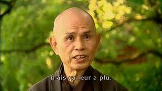 Thich Nhat Hanh on Impermanence 2004 EngStFr