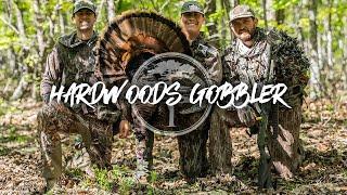 Turkey Hunting- TEXTBOOK Hardwoods Gobbler!