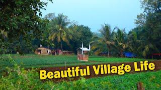 Beautiful  Village Life In Gujarat, India || Village Life || Village Neture Scenery