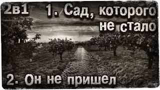 Истории на ночь (2в1): 1.Сад, которого не стало, 2.Он не пришёл