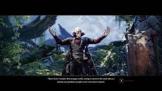 Divinity: Original Sin 2 - Definitive Edition (Origin stories)