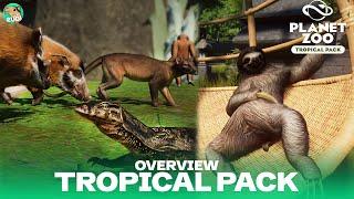 Tropical Pack DLC Overview Planet Zoo - All Animals & Pieces