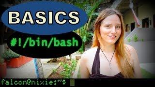 Intro to the Command Line - BASH Basics