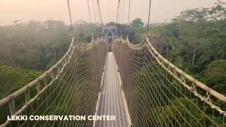 Lekki Conservation Center - Lagos Nigera