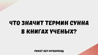 225. Что значит термин Сунна в книгах ученых? || Ринат Абу Мухаммад