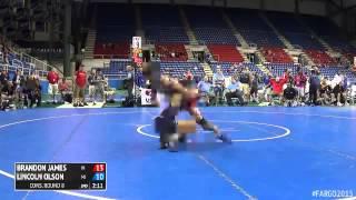 132 Cons. Round 8 - Lincoln Olson (Michigan) vs. Brandon James (Indiana)