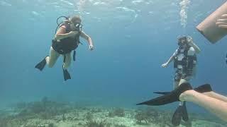 Scuba Dive Cozumel  June 22, 2024