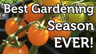 My Best Gardening Season In Review