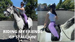 RIDING MY FRIENDS GRAND PRIX STALLION! || Erin Williams