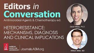 Heteroresistance: Mechanisms, Diagnosis and Clinical Implications