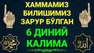 6 ДИНИЙ КАЛИМА ВА МАЪНОЛАРИ #калималар #6диний калима