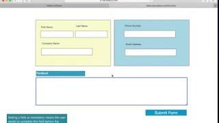 Mark web form fields as completion mandatory | Touch Forms Pro 7 For Mac