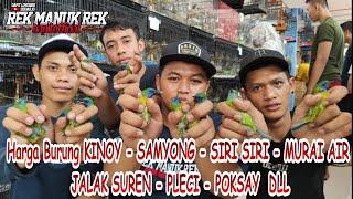 UPDATE HARGA BURUNG KINOY - SAMYONG - SIRI" - MURAI AIR - JALAK SUREN - PLECI - POKSAY  DLL