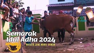 Dokumentasi Idul Adha 2024 - Masjid Jami Nuril Anwar - Proses Qurban 1445H