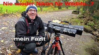 Olympus OM1 vs. Nikon Z7II - Nie wieder Nikon für Wildlife? - MEIN FAZIT | 300 mm f5.6 Vergleich