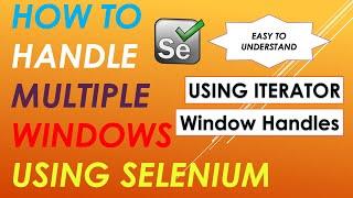 How to handle Multiple Windows using Selenium WebDriver