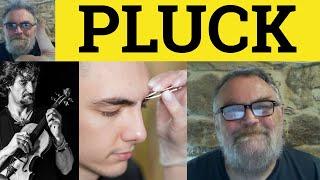  Pluck Meaning - Pluck Examples - Plucky Defined - Pluck Up Courage Pluck From the Air - Pluck