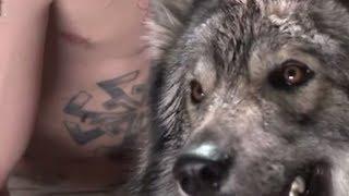 Sergei Polunin "The Wolf Knows"