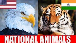 National Animals of The World  | Countries, Flags, and Their Amazing National Animals