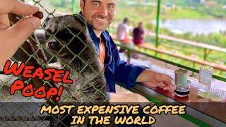 Weasel Poop: Most Expensive Coffee in The World | Me Linh Coffe Garden| Dalat Vietnam Things to Do