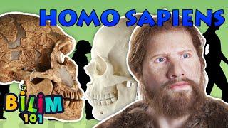 Homo Sapiens nedir? İnsan Irkının Evrimi