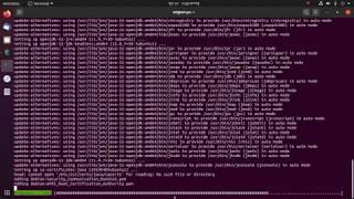How to install Java 11 on Ubuntu 20.04 LTS using Terminal | Java 11 install On Linux via Terminal.