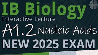 NEW 2025 EXAM - IB Biology A1.2 - Nucleic Acids [SL/HL] - Interactive Lecture