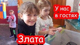 VLOG У нас в гостях Злата