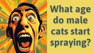 What age do male cats start spraying?