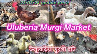 Uluberia Murgi Market. Uluberia Pet Market 23/03/24 price update today #cheapestprice #murgi #pet