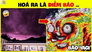 Bất Ổn Những Dị Tượng Xảy Ra Trước Siêu Bão YAGI Báo Hiệu Điều Gì | Nhanh Trí