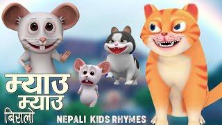 Meow Meow Biralo म्याउ म्याउ |Mau Mau| Popular Rhymes For Children|Famous Rhymes|बाल गीत New Rhymes