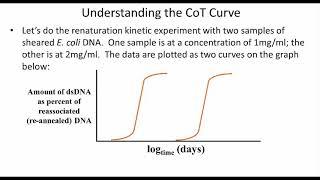 239 CoT Curves and DNA Complexity Explained!