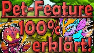 Freischalten | Nutzen | Reihenfolge - Kompletter Pet-Guide Shakes & Fidget Guide