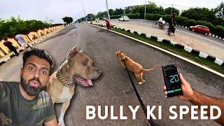 Ek pitbull kitna tez bhaag sakta hai ! Pitbull dog training hindi with Aman and Bully