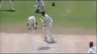 Girl shows boobs in cricket ground