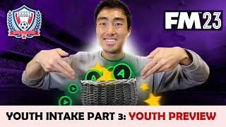 FM23 Youth Intake Analysis 3 - Youth Preview